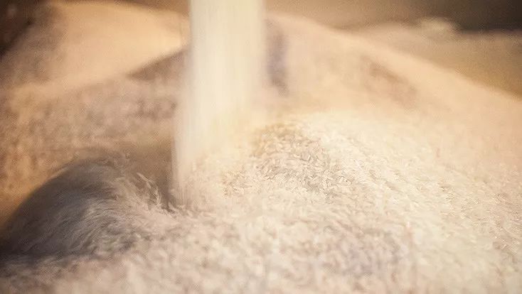 岚道米酒：五千年米香沉淀，一杯敬东方风雅