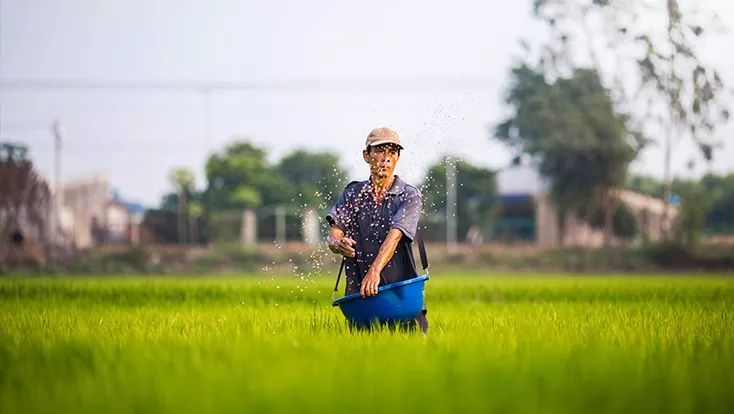 无添加纯米造，饮后舒朗 —— 岚道米酒的温润之道